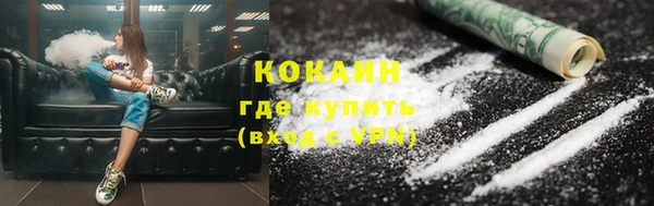 стафф Касимов