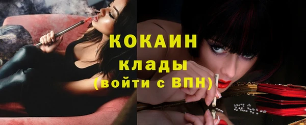 стаф Кинешма