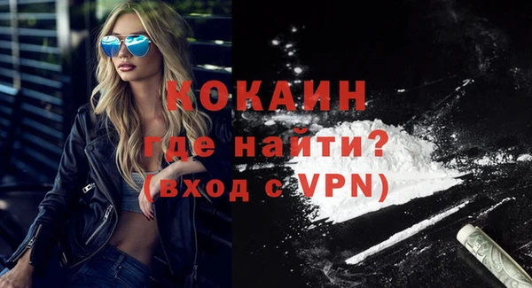 стафф Касимов