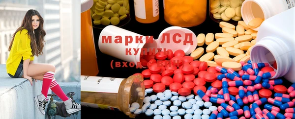 стафф Касимов