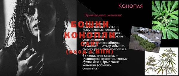 spice Новосибирск