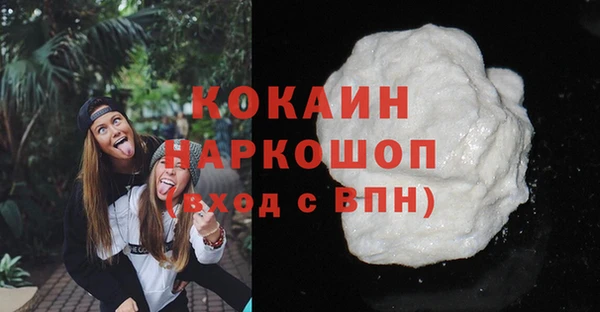 стаф Кинешма