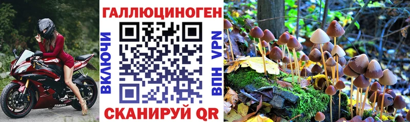 Галлюциногенные грибы GOLDEN TEACHER  наркошоп  Тотьма 