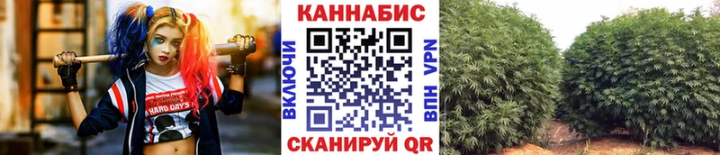 KRAKEN ONION  сайты даркнета клад  Конопля AK-47  Тотьма 